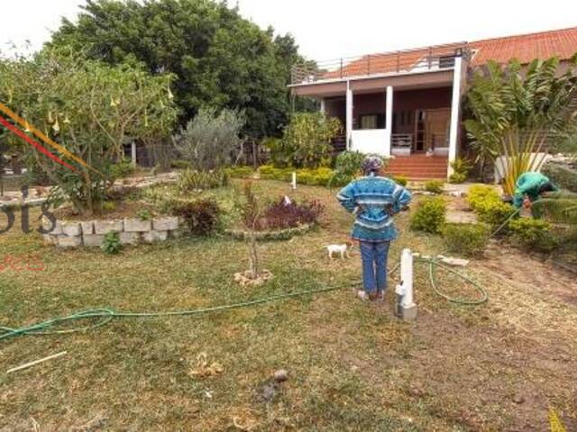 Quinta para Venda em Maputo - 4
