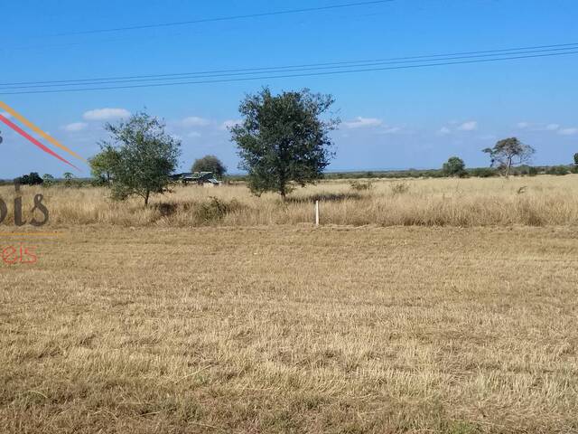 Terreno para Venda em Moamba - 4