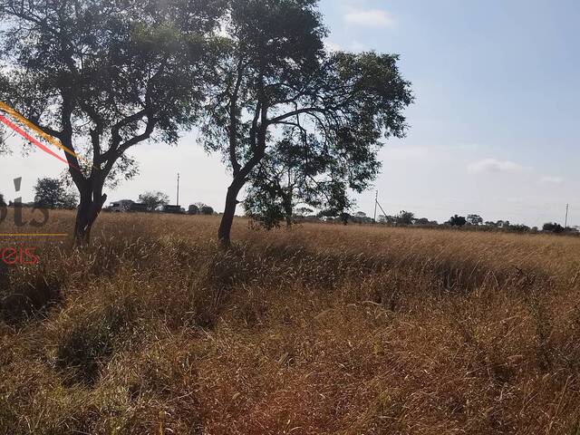 Terreno para Venda em Moamba - 5