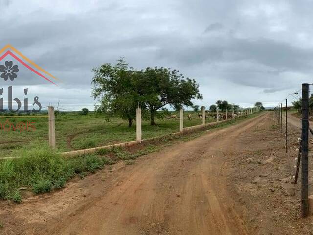Área para Venda em Moamba - 4