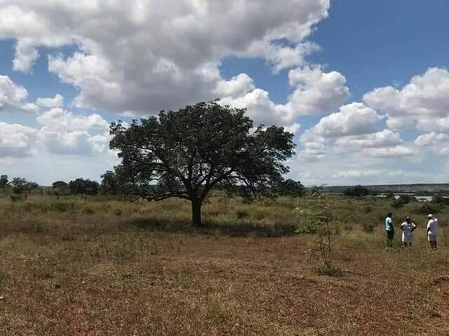 Área para Venda em Moamba - 5