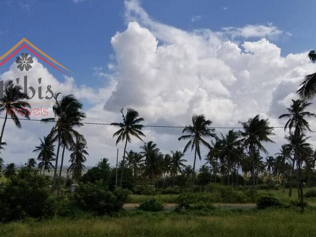 Área para Venda em Inhambane - 5