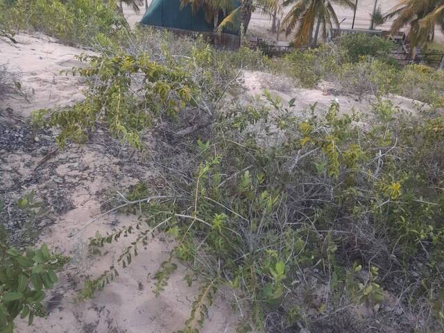 Área para Venda em Inhambane - 5