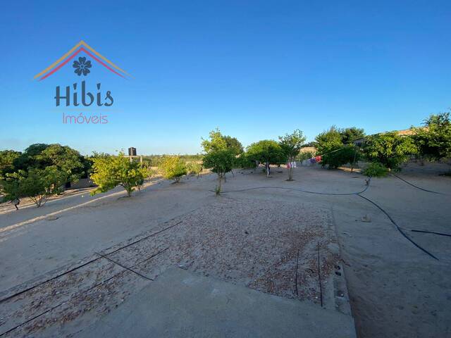 #421 - Moradia para Venda em Maputo - Maputo