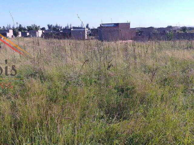 Área para Venda em Maputo - 4