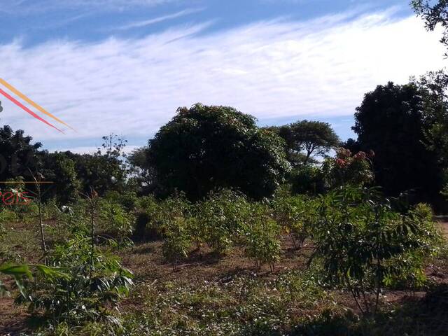 Área para Venda em Maputo - 5