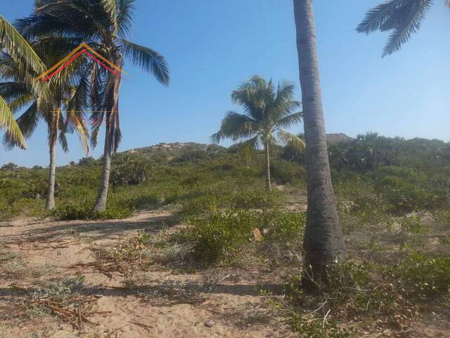 Terreno para Venda em Inhambane - 5