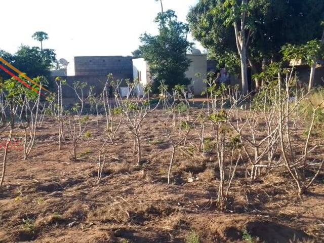 Área para Venda em Maputo - 4