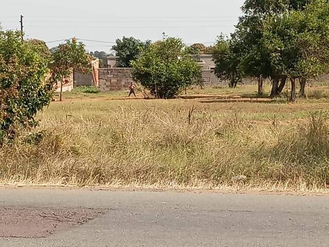 Área para Venda em Maputo - 5