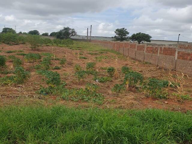 Área para Venda em Maputo - 5
