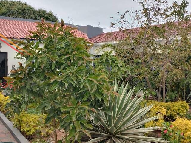 #1106 - Moradia para Arrendamento em Maputo - Maputo