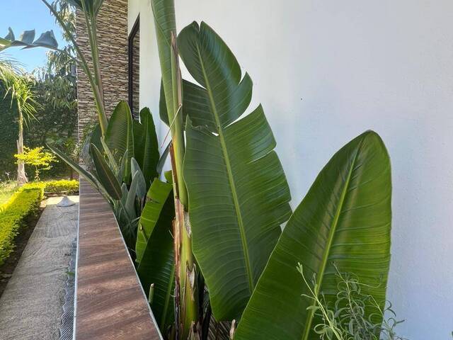 #1201 - Moradia para Venda em Maputo - Maputo