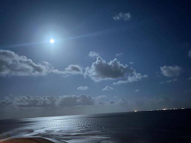 #1299 - Apartamento para Venda em Maputo - Maputo