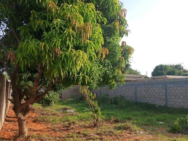 Área para Venda em Maputo - 5