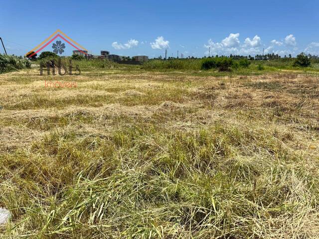 Terreno para Venda em Maputo - 4