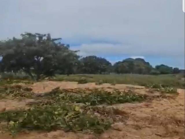 Área para Venda em Maputo - 5