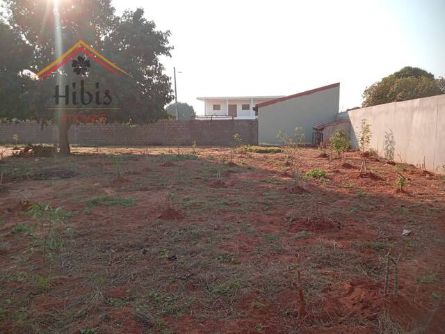 #2131 - Área para Venda em Maputo - Maputo - 2
