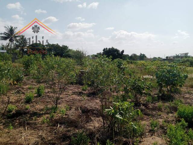 #2134 - Terreno para Venda em Maputo - Maputo - 3