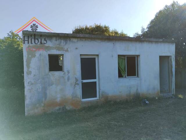 Terreno para Venda em Maputo - 5