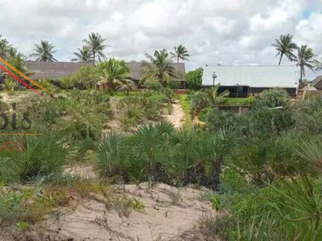 Venda em khonguiana - Inhambane