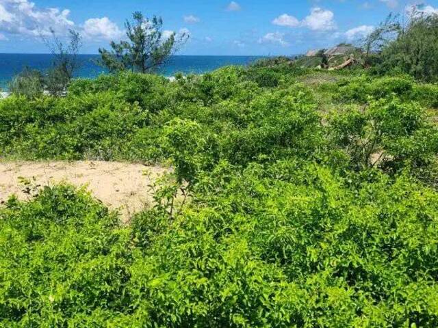 Venda em khonguiana - Inhambane