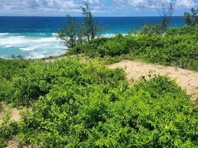 #2183 - Área para Venda em Inhambane - Inhambane - 3
