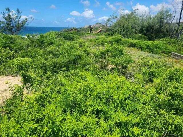 Área para Venda em Inhambane - 4