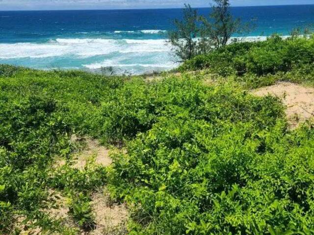 Área para Venda em Inhambane - 5