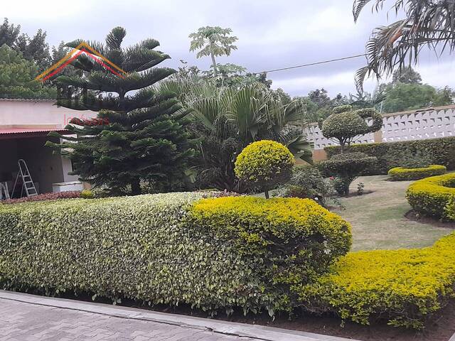 Venda em Vila de boane - Maputo