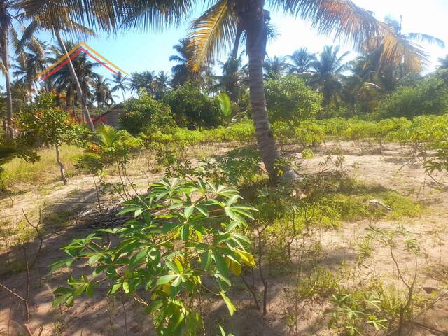 Venda em JOSINA MACHEL - Inhambane