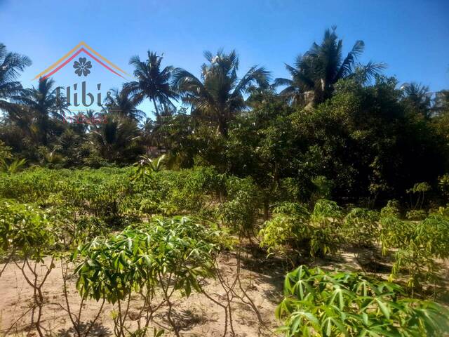 #2195 - Área para Venda em Inhambane - Inhambane - 2