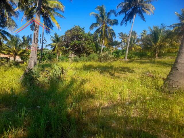 #2195 - Área para Venda em Inhambane - Inhambane - 3