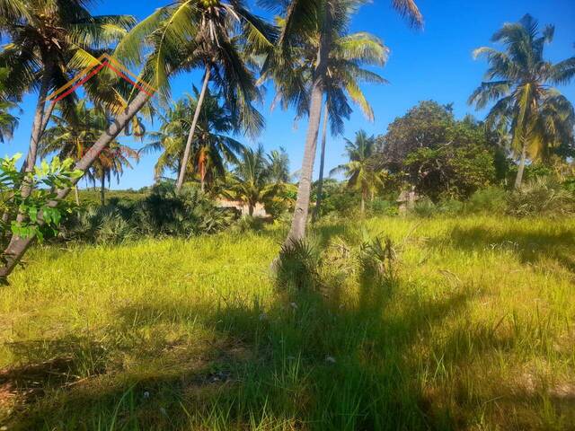 Área para Venda em Inhambane - 4