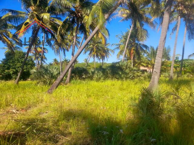 Área para Venda em Inhambane - 5