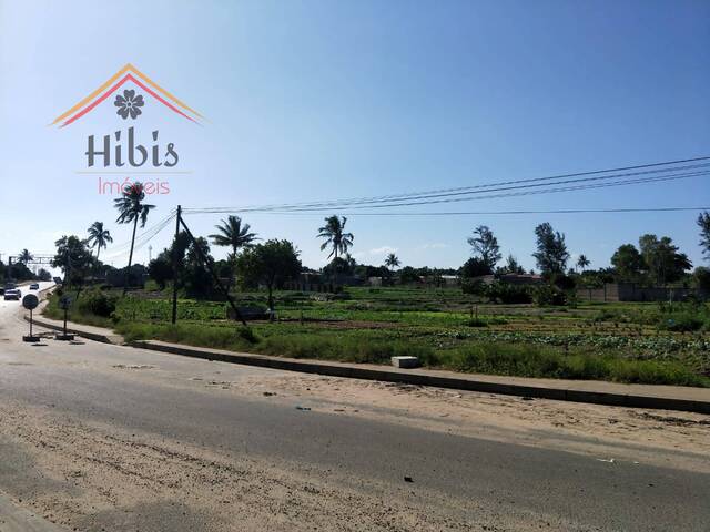 #2198 - Área para Venda em Matola - Maputo - 1