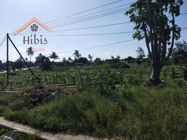#2198 - Área para Venda em Matola - Maputo - 3