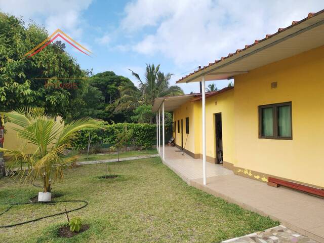Venda em INHACA - Maputo