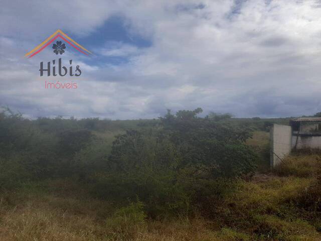 #2208 - Ponto Comercial para Venda em Maputo - Maputo - 3