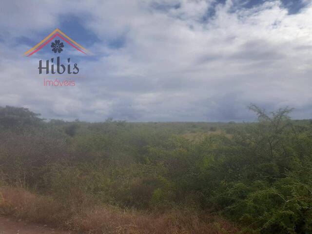 Ponto Comercial para Venda em Maputo - 4