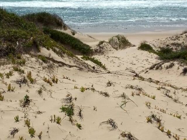 Venda em BARRA - Inhambane