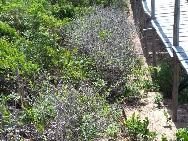 Terreno para Venda em Inhambane - 5