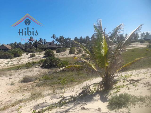 #2267 - Terreno para Venda em Inhambane - Inhambane - 2