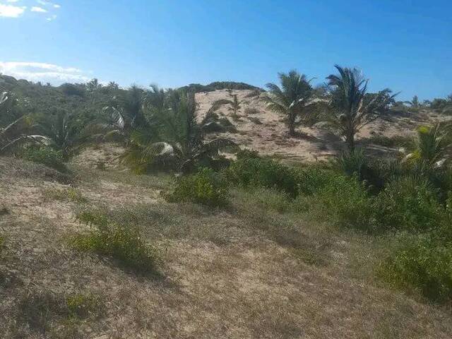 Terreno para Venda em Inhambane - 4