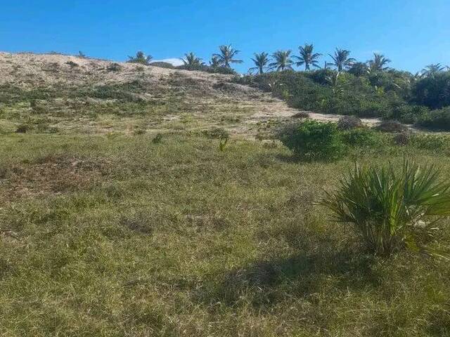 #2269 - Terreno para Venda em Inhambane - Inhambane - 3