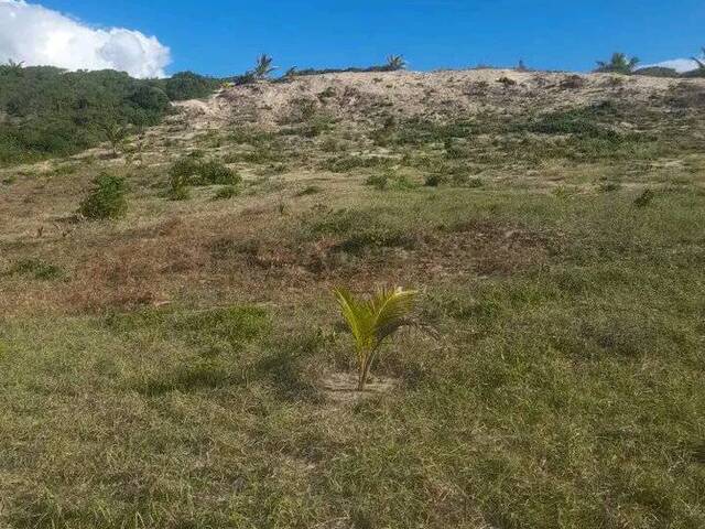 Terreno para Venda em Inhambane - 4
