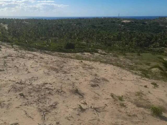 Terreno para Venda em Inhambane - 5