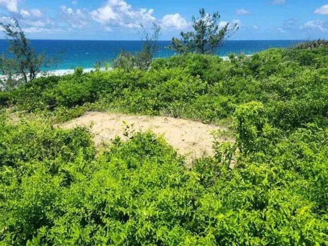 #2270 - Terreno para Venda em Inhambane - Inhambane - 3