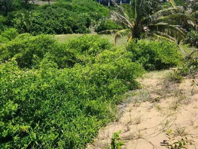 Terreno para Venda em Inhambane - 4