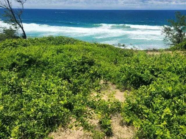 Terreno para Venda em Inhambane - 5