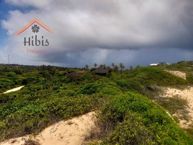#2271 - Terreno para Venda em Inhambane - Inhambane - 3